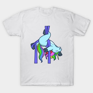 Aerial Silk Unicorn T-Shirt